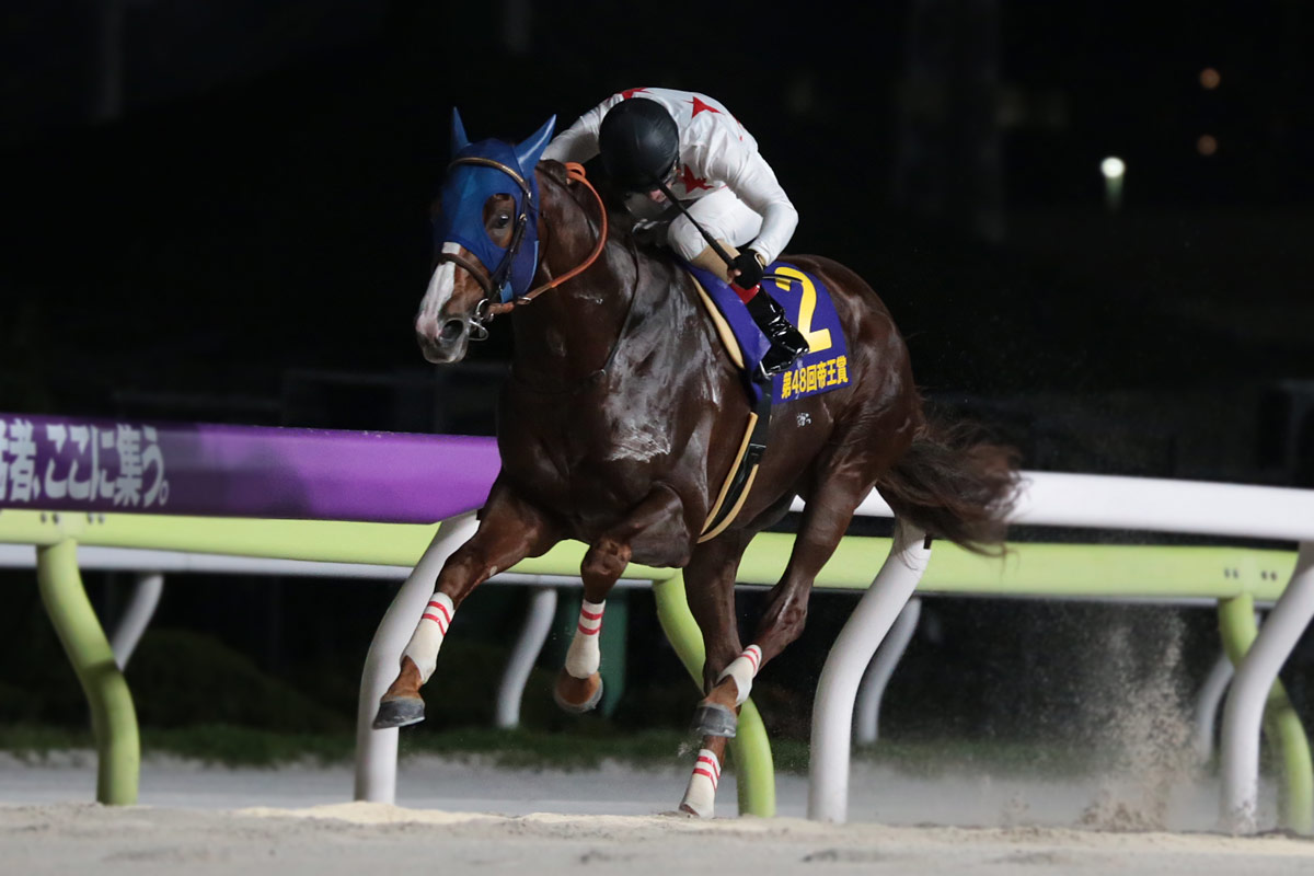 【帝王賞】ミッキーファイトが早め先頭から横綱相撲で優勝 鞍上は「未来のスーパースターホース」と太鼓判