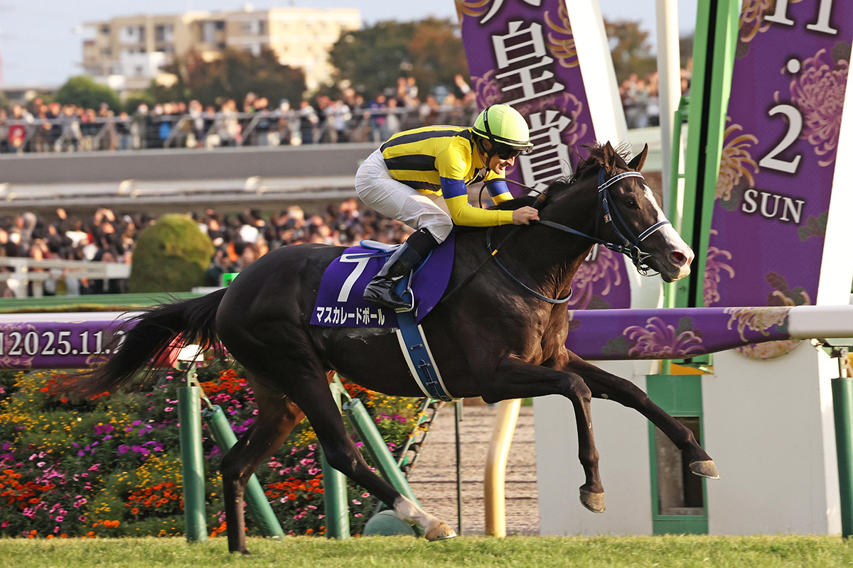 アイドルホース・有馬記念・日本ダービー・ジャパンカップ・天皇賞秋・ＪＲＡ・競馬場 アイドルホース・有馬記念・日本ダービー・ジャパンカップ・天皇賞秋
