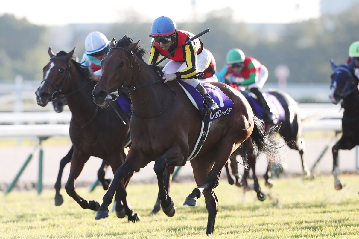 有馬記念2025／出走登録馬】連覇を狙うレガレイラ、皐月賞馬