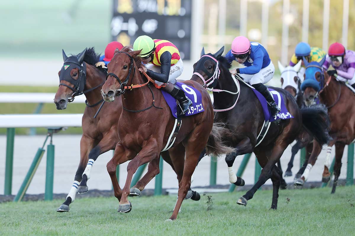 【期限切れ単勝馬券】　阪神ジュベナイルF 2009 アパパネ アパパネ完勝! 3連勝で2歳牝馬の頂点に=阪神ジュベナイルF