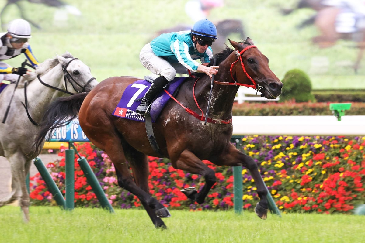 香港国際競走2025／オッズ情報】気になる海外ブックメーカー最新情報を随時更新 香港カップなど4レース…JRAオッズと海外オッズの“乖離”も注目 |  Winsight