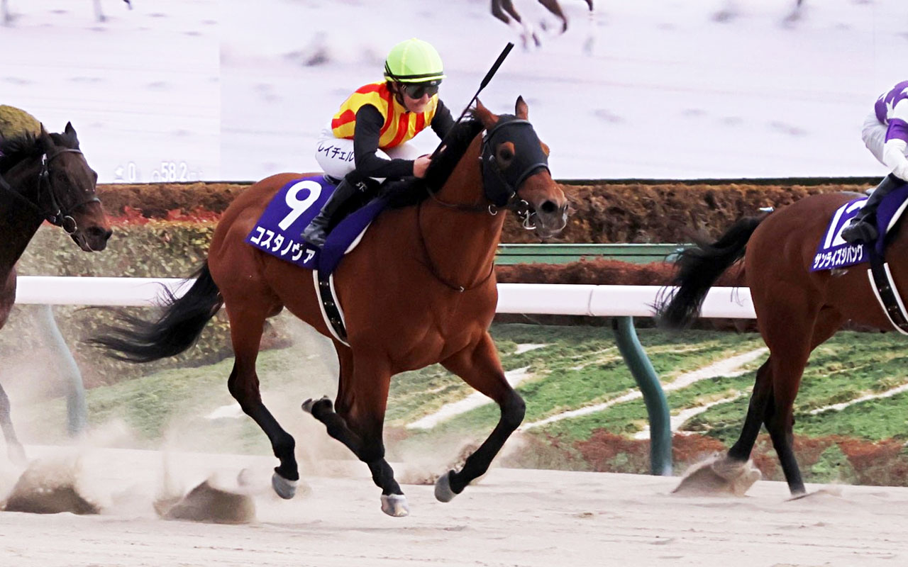 フェブラリーステークス2026／出走登録馬】連覇を狙う昨年覇者