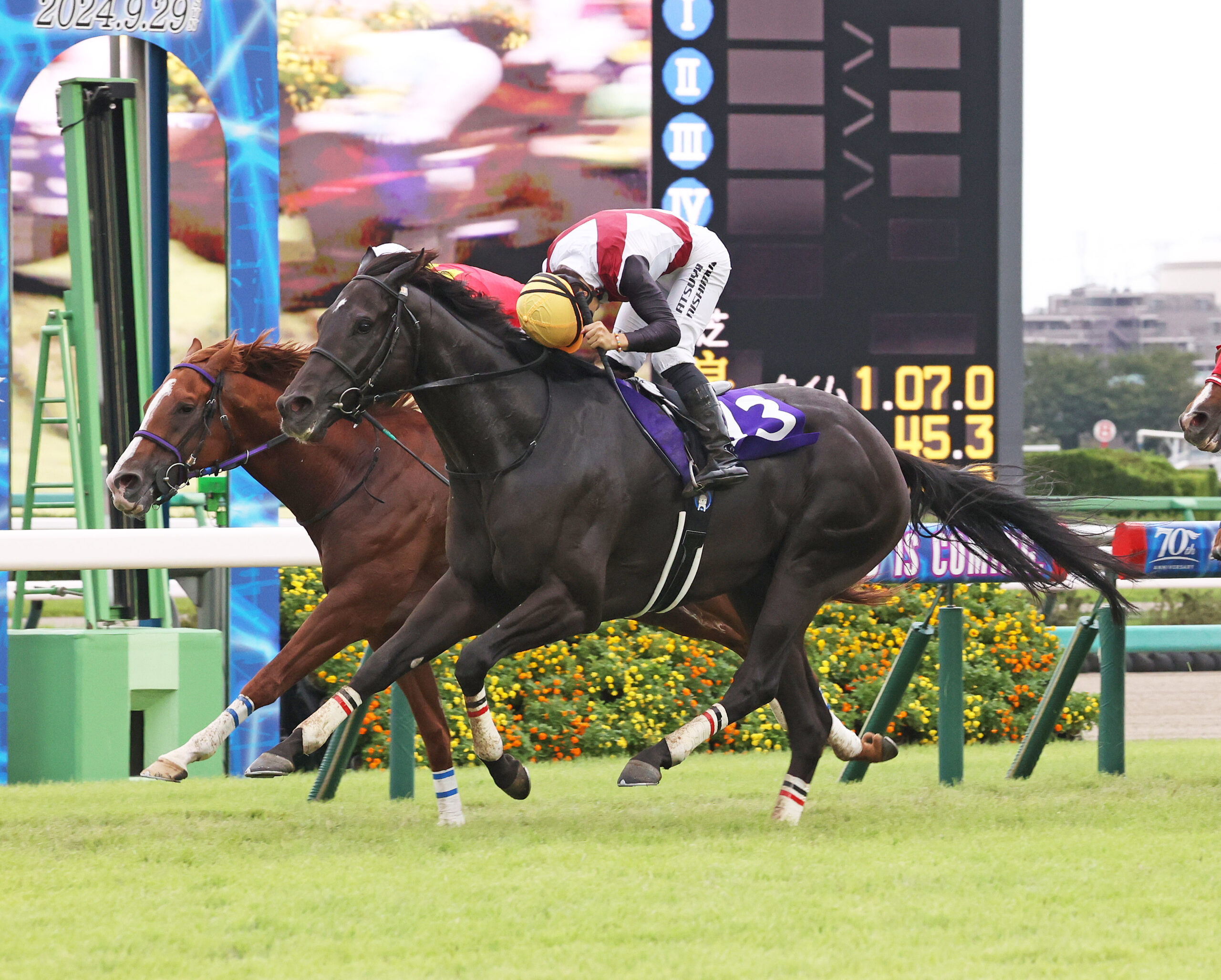 画像が削除されました