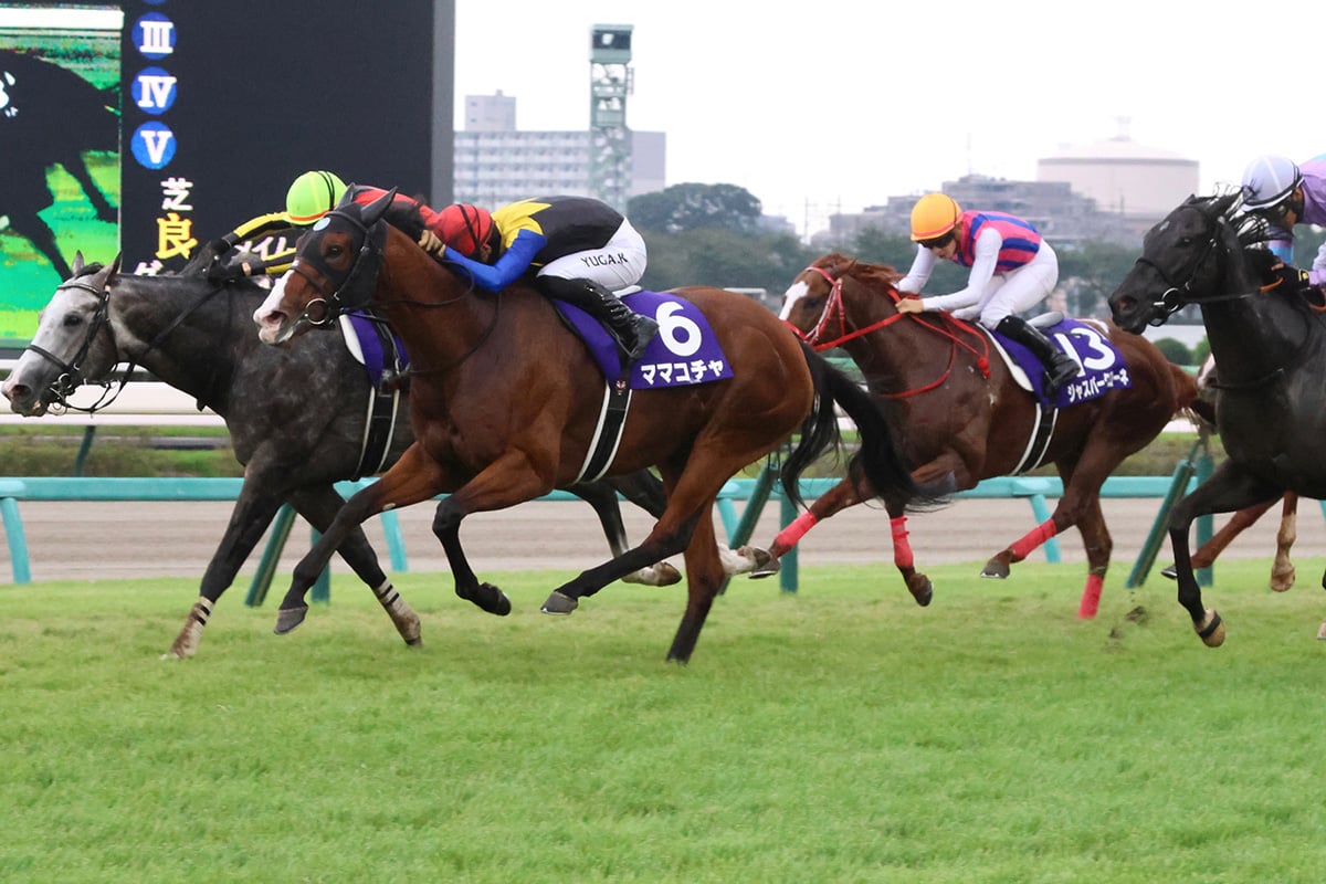 画像が削除されました