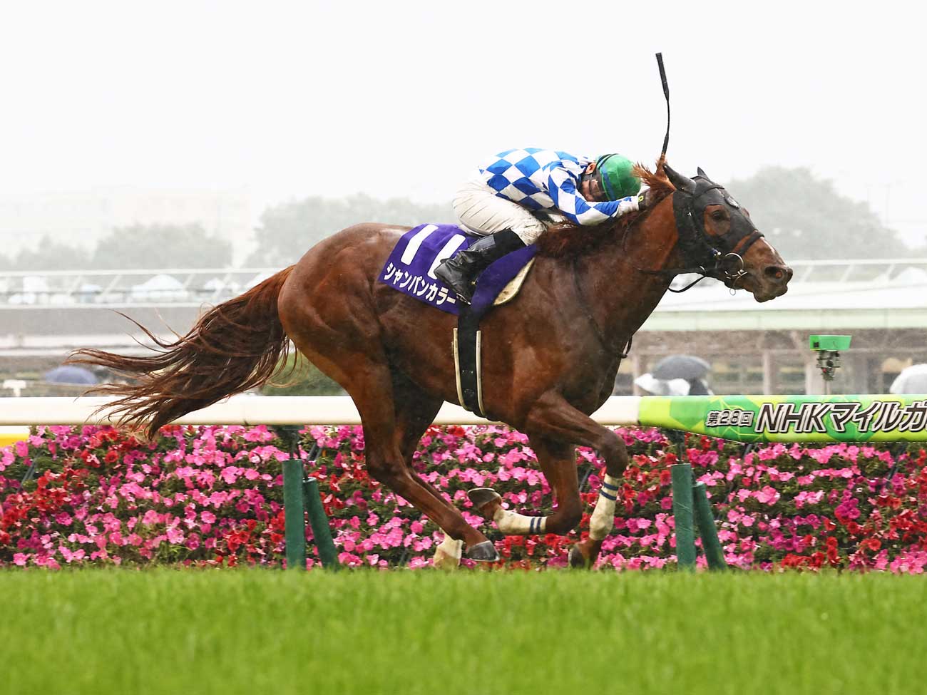 安田記念2026予想】人気盲点として逆襲に期待のベテラン3頭 王者ジャン