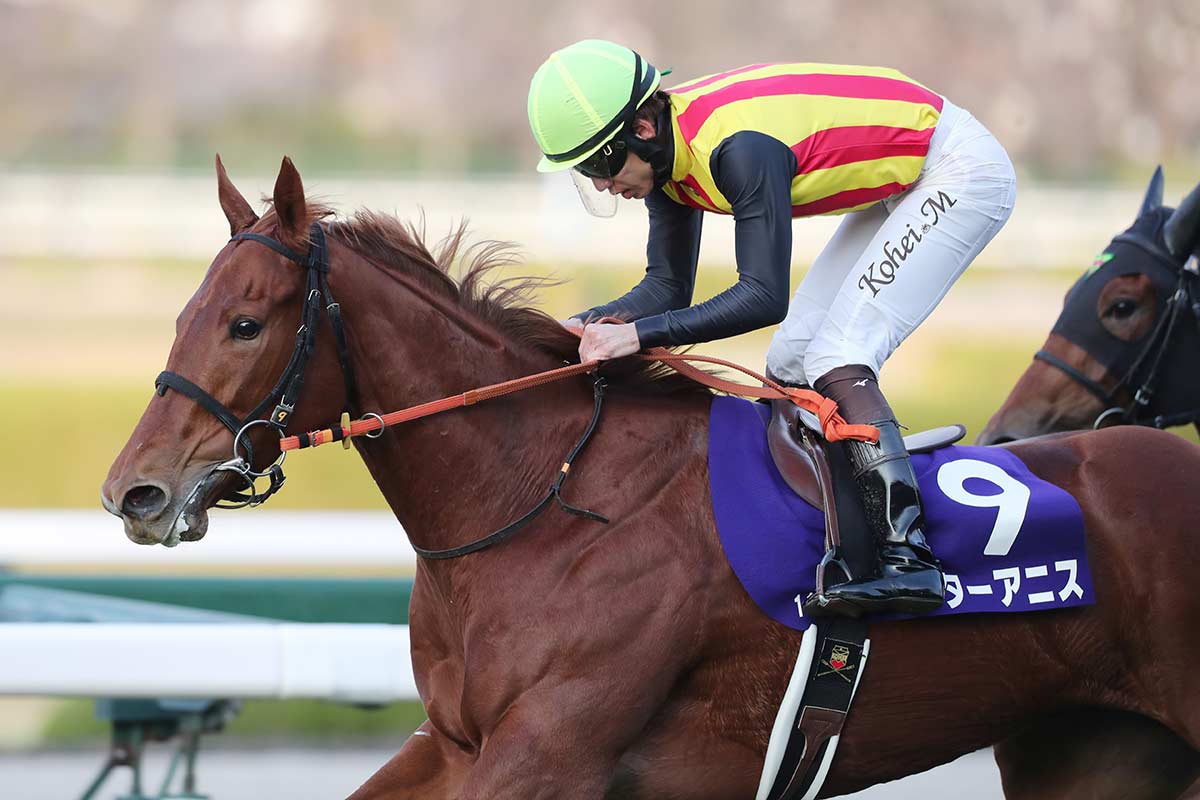 阪神ジュベナイルフィリーズ2025】「もう一度頑張ってくれた馬に本当に 